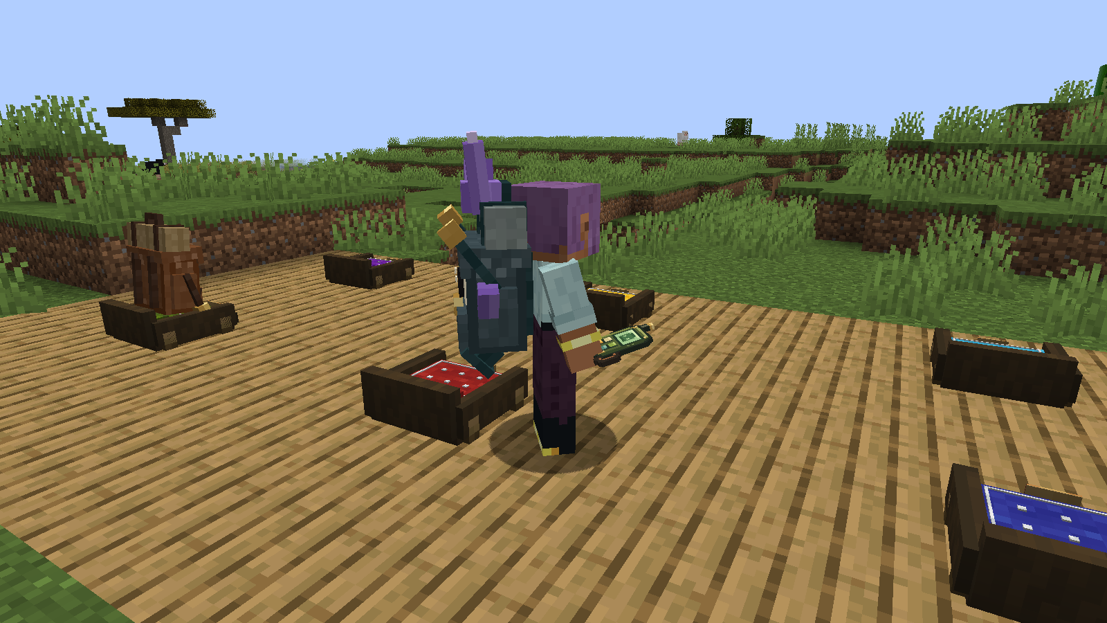 A companion riding on its owner's back